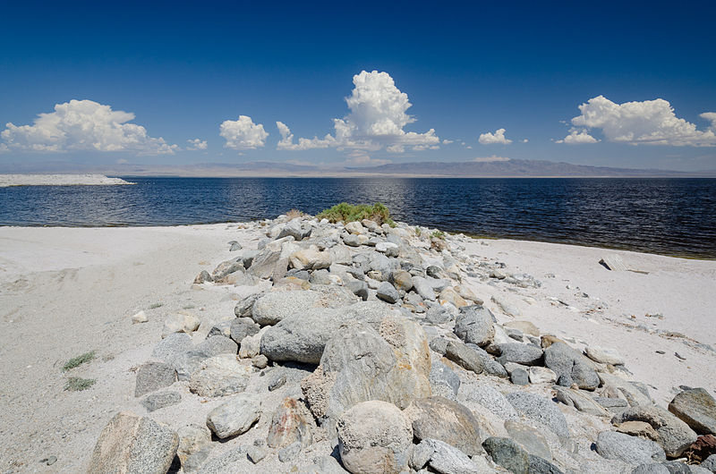 Salton Sea une plage de cadavres de poissons lac salton sea plage de cadavres de poissons 5 lac-salton-sea-plage-de-cadavres-de-poissons-5