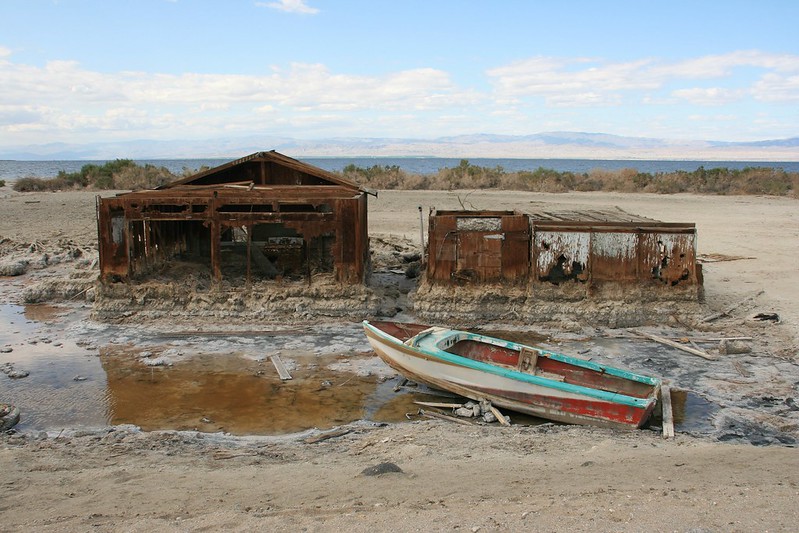Salton Sea une plage de cadavres de poissons lac salton sea plage de cadavres de poissons 7 lac-salton-sea-plage-de-cadavres-de-poissons-7