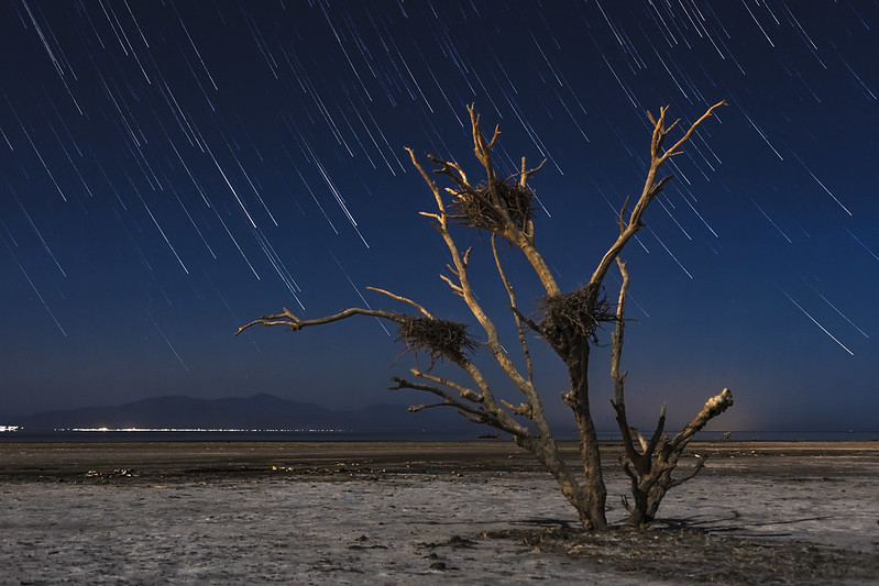 Salton Sea une plage de cadavres de poissons lac salton sea plage de cadavres de poissons 9 lac-salton-sea-plage-de-cadavres-de-poissons-9