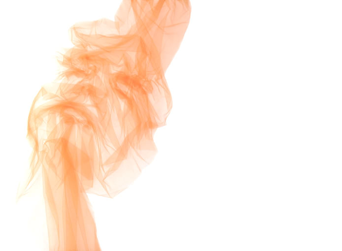 Benjamin Shine crée des tableaux en tulle avec un fer à repasser les tableaux en tulle avec un fer a repasser Benjamin Shine 10 les-tableaux-en-tulle-avec-un-fer-a-repasser-Benjamin-Shine-10