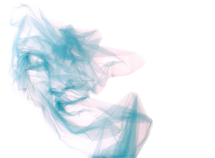 Benjamin Shine crée des tableaux en tulle avec un fer à repasser les tableaux en tulle avec un fer a repasser Benjamin Shine 12 les-tableaux-en-tulle-avec-un-fer-a-repasser-Benjamin-Shine-12