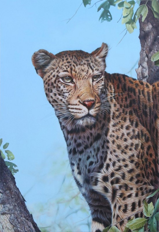 Les peintures de la vie sauvage hyper réalistes de Eric Wilson peintures de la vie sauvage de eric wilson panthere peintures-de-la-vie-sauvage-de-eric-wilson-panthere