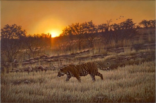 Les peintures de la vie sauvage hyper réalistes de Eric Wilson peintures de la vie sauvage de eric wilson tigre 3 peintures-de-la-vie-sauvage-de-eric-wilson-tigre-3