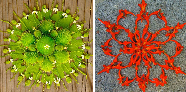 Les mandalas de fleurs de Kathy Klein danmalas mandalas de fleurs de kathy klein 10 danmalas-mandalas-de-fleurs-de-kathy-klein-10