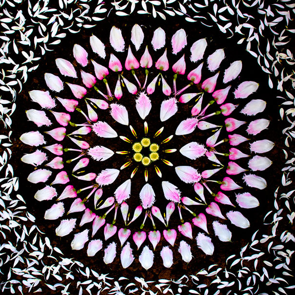 Les mandalas de fleurs de Kathy Klein danmalas mandalas de fleurs de kathy klein 11 danmalas-mandalas-de-fleurs-de-kathy-klein-11
