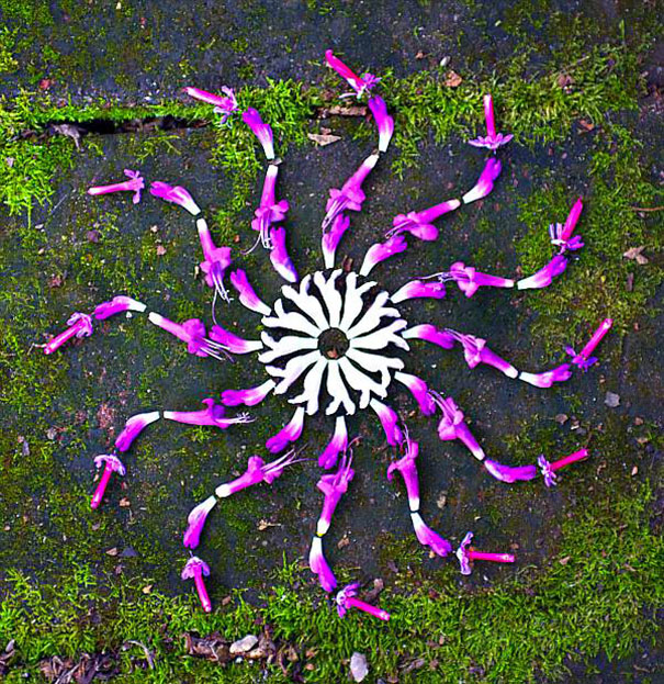 Les mandalas de fleurs de Kathy Klein danmalas mandalas de fleurs de kathy klein 29 danmalas-mandalas-de-fleurs-de-kathy-klein-29