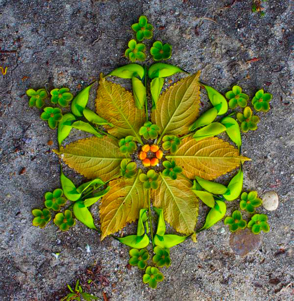 Les mandalas de fleurs de Kathy Klein danmalas mandalas de fleurs de kathy klein 31 danmalas-mandalas-de-fleurs-de-kathy-klein-31