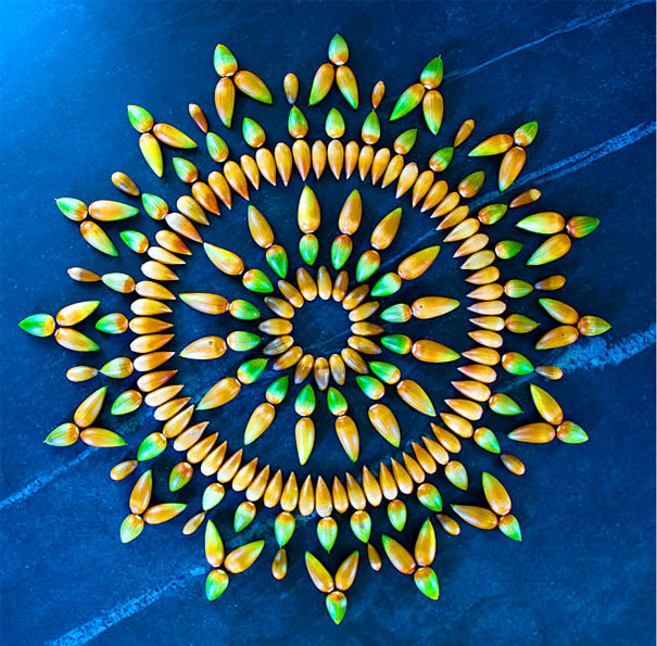 Les mandalas de fleurs de Kathy Klein danmalas mandalas de fleurs de kathy klein 9 danmalas-mandalas-de-fleurs-de-kathy-klein-9