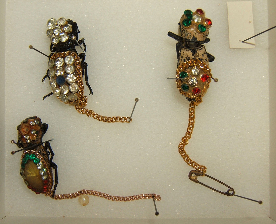 Le maquech, le scarabée vivant porté comme bijou au Yucatán makesh bijoux insectes vivants 3 scarabée maquech orné de fausses pierres précieuses