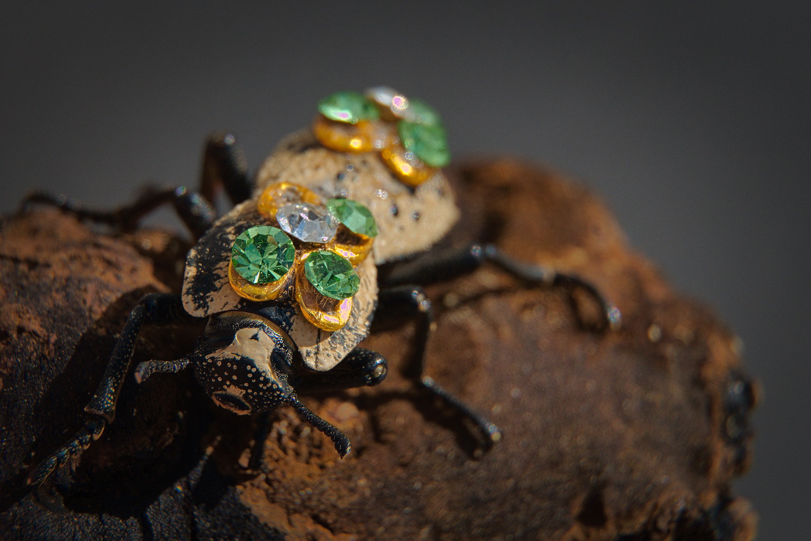 maquesh bijoux insectes vivants 1 maquech, scarabée vivant porté comme bijou au Yucatán