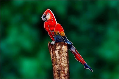 Body Painting perroquet par Johannes Stötter body painting perroquet johannes stoetter 2 body-painting-perroquet-johannes-stoetter-2