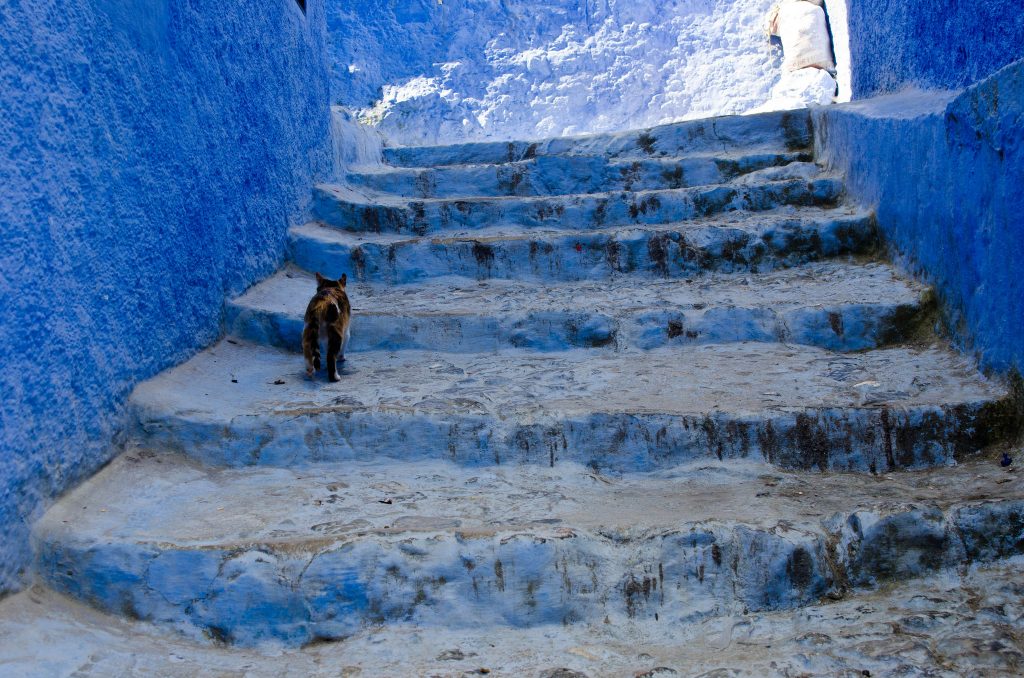 Chefchaouen ville bleue du Maroc chefchaouen ville bleue du maroc 12 chefchaouen-ville-bleue-du-maroc-12