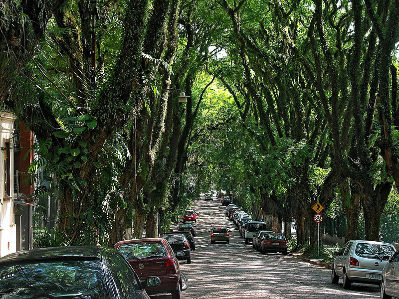 20 tunnels d'arbres magiques 20 tunnels d arbres magiques rue de porto allegre bresil 20-tunnels-d-arbres-magiques-rue-de-porto-allegre-bresil