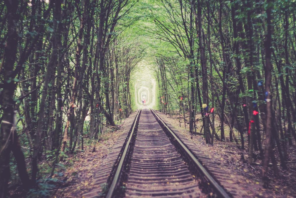 20 tunnels d'arbres magiques 20 tunnels d arbres magiques tunnel de l amour 2 20-tunnels-d-arbres-magiques-tunnel-de-l-amour-2