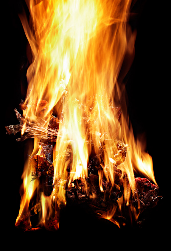 Les chaussures animalières de Masaya Kushino chaussures animalieres et nature de Masaya kushino 10 chaussures-animalieres-et-nature-de-Masaya-kushino-10