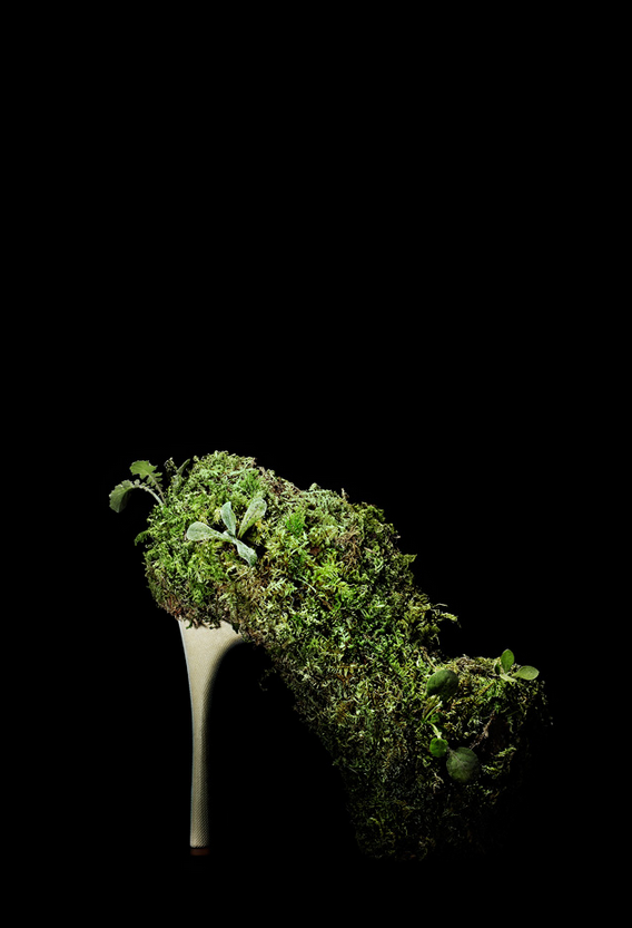 Les chaussures animalières de Masaya Kushino chaussures animalieres et nature de Masaya kushino 5 chaussures-animalieres-et-nature-de-Masaya-kushino-5