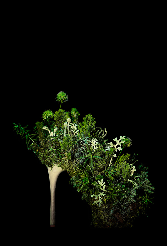 Les chaussures animalières de Masaya Kushino chaussures animalieres et nature de Masaya kushino 6 chaussures-animalieres-et-nature-de-Masaya-kushino-6