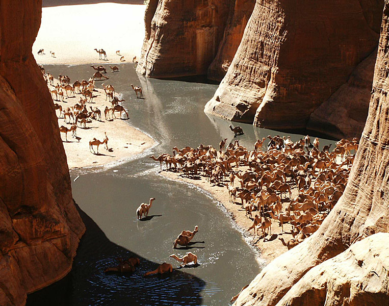 La Guelta d'Archei célèbre trou d'eau du Sahara guelta d archei celebre source d eau du sahara 4 guelta-d-archei-celebre-source-d-eau-du-sahara-4