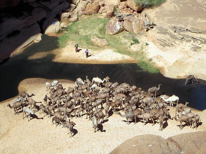 La Guelta d'Archei célèbre trou d'eau du Sahara guelta d archei celebre source d eau du sahara 5 guelta-d-archei-celebre-source-d-eau-du-sahara-5