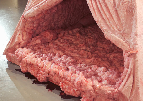 La tente Zombie de Andrea Hasler tente en intestin de andrea hasler tente zombie 2 tente-en-intestin-de-andrea-hasler-tente-zombie-2