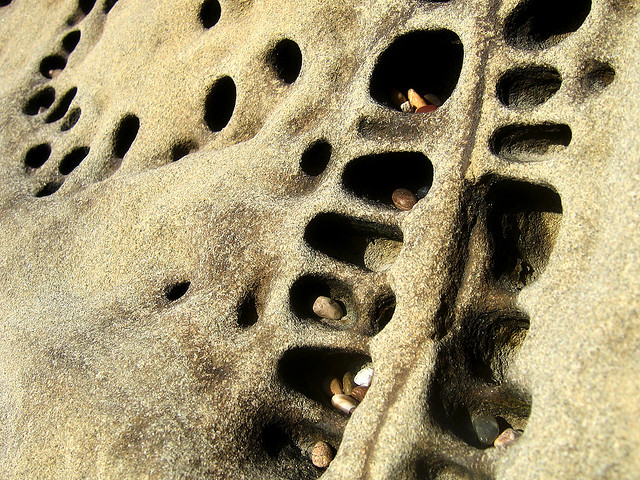 Les Taffoni , ces roches à érosion circulaire taffoni tafoni roches a erosion circulaire 24 taffoni-tafoni-roches-a-erosion-circulaire-24