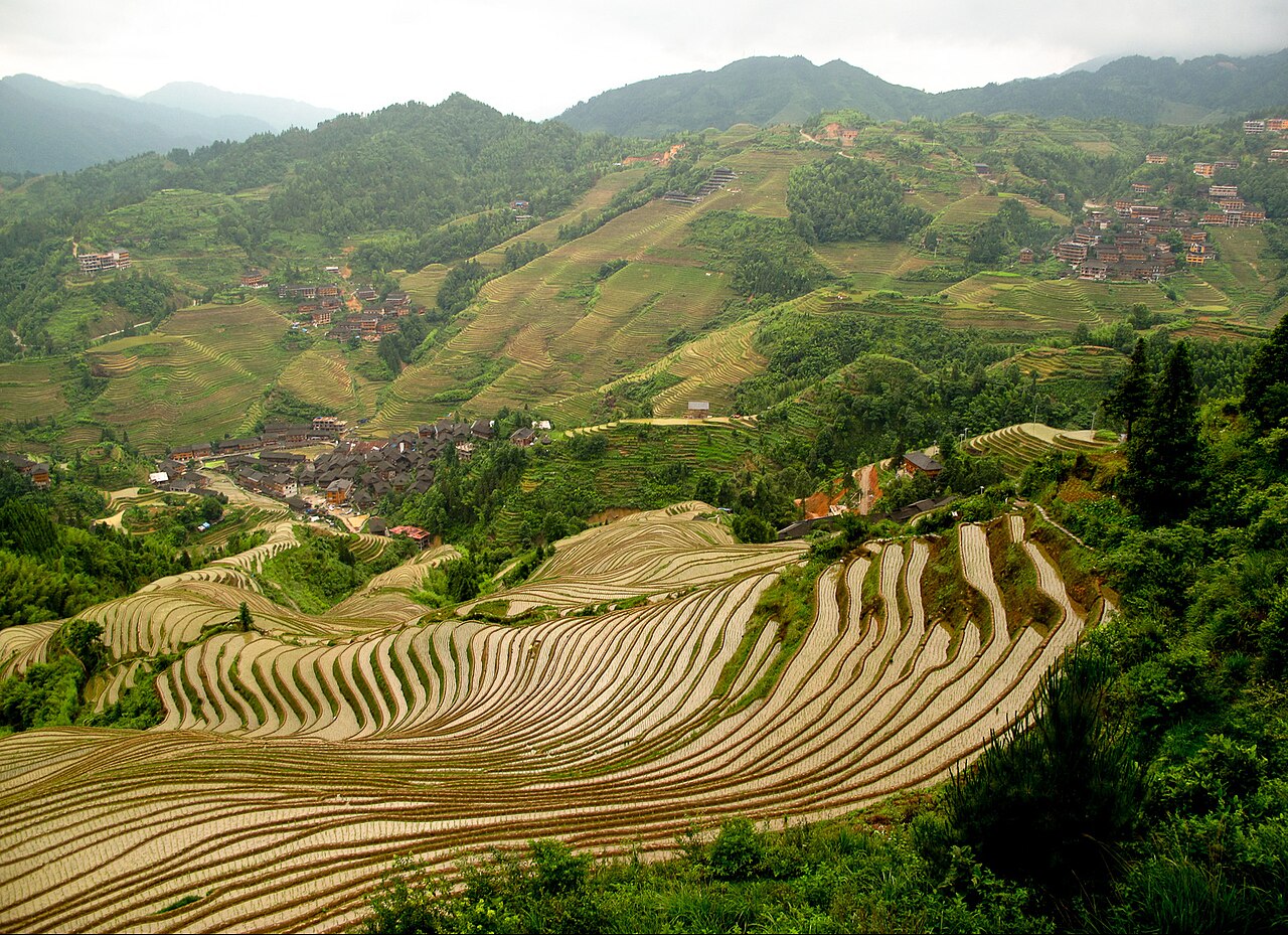 jinkeng dazhai longji rice terraces Rizières en terrasses de Jinkeng et Dazhai à Longji