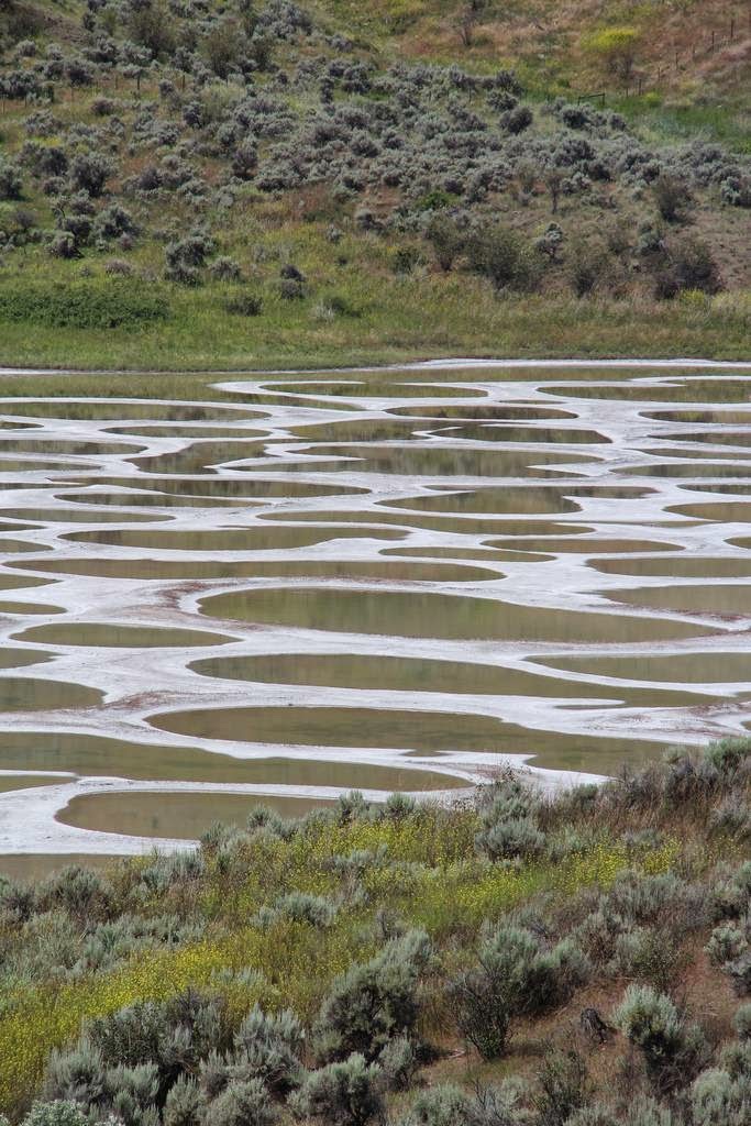 Le lac Osoyoos - le lac tacheté lac Osoyoos lac tachete canada 3 lac-Osoyoos-lac-tachete-canada-3