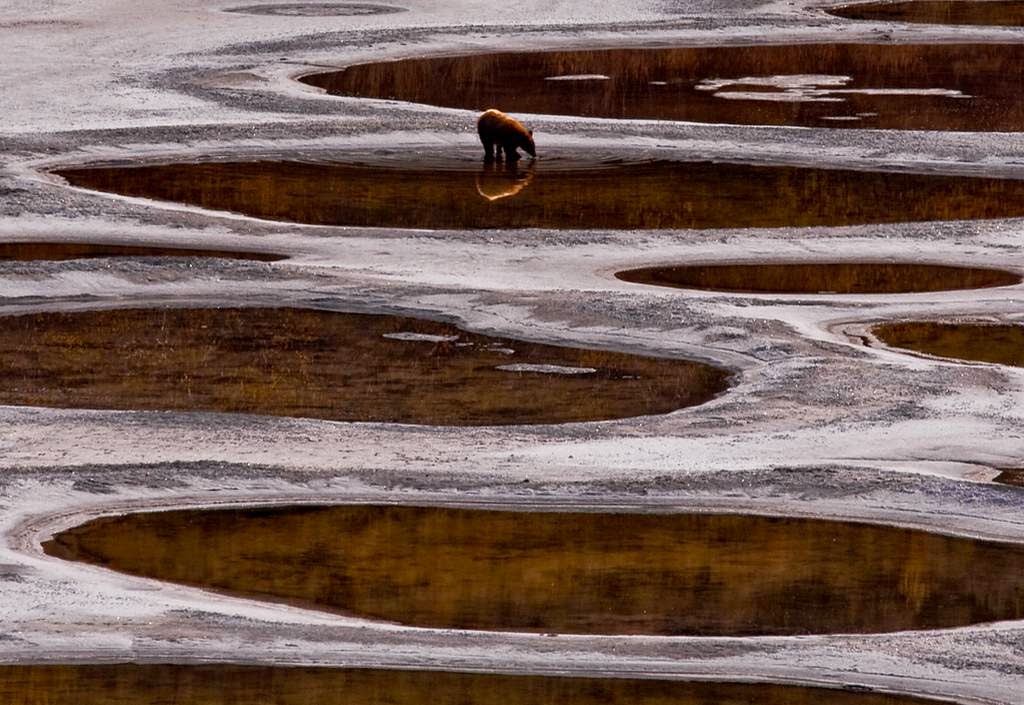 Le lac Osoyoos - le lac tacheté lac Osoyoos lac tachete canada 7 lac-Osoyoos-lac-tachete-canada-7