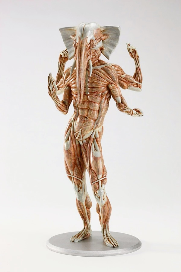 Les sculptures anatomiques bizarres de Masao Kinoshita masao kinoshita sculptures anatomiques bizarres ganesh 1 masao-kinoshita-sculptures-anatomiques-bizarres-ganesh-1