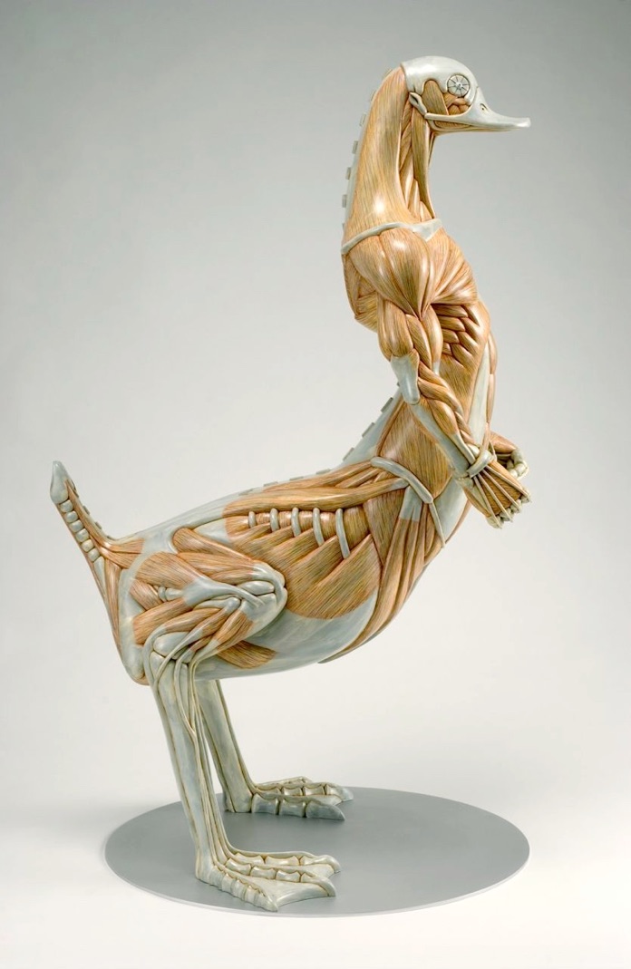 Les sculptures anatomiques bizarres de Masao Kinoshita masao kinoshita sculptures anatomiques bizarres sailor 3 masao-kinoshita-sculptures-anatomiques-bizarres-sailor-3