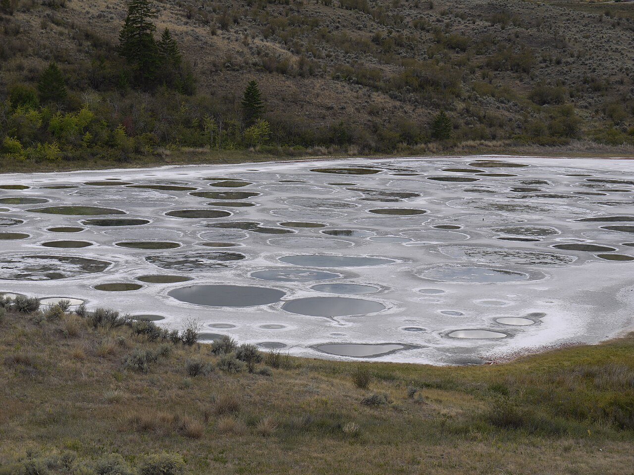 Bassins colorés de Spotted Lake en Colombie-Britannique Bassins colorés de Spotted Lake en Colombie-Britannique