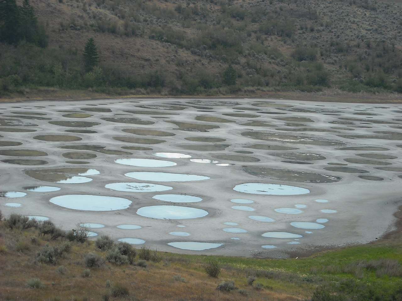 Cuvettes minérales de Spotted Lake Cuvettes minérales de Spotted Lake