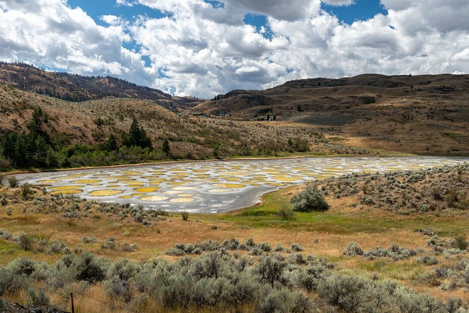 Spotted Lake : le lac tacheté près d’Osoyoos au Canada spotted lake lac tachete canada Spotted Lake, lac tacheté près d’Osoyoos au Canada