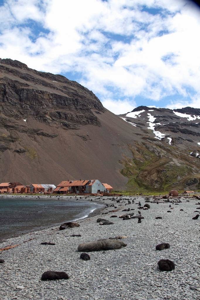 Stromness, station baleinière abandonnée stromness station baleiniere abandonnee de georgie du sud 2 stromness-station-baleiniere-abandonnee-de-georgie-du-sud-2