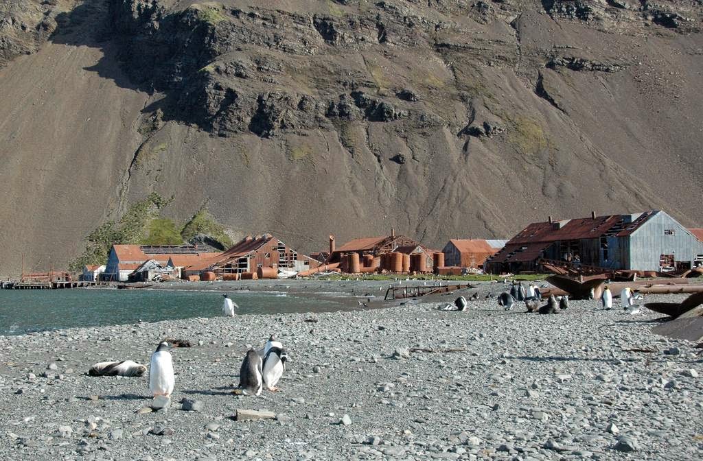 Stromness, station baleinière abandonnée stromness station baleiniere abandonnee de georgie du sud 6 stromness-station-baleiniere-abandonnee-de-georgie-du-sud-6