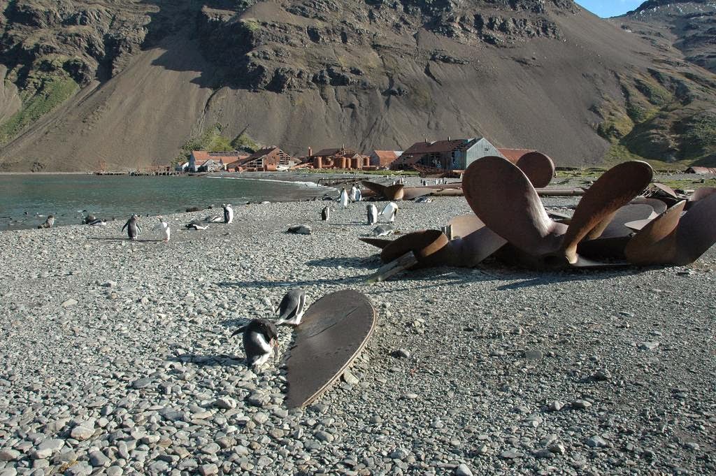 Stromness, station baleinière abandonnée stromness station baleiniere abandonnee de georgie du sud 7 stromness-station-baleiniere-abandonnee-de-georgie-du-sud-7