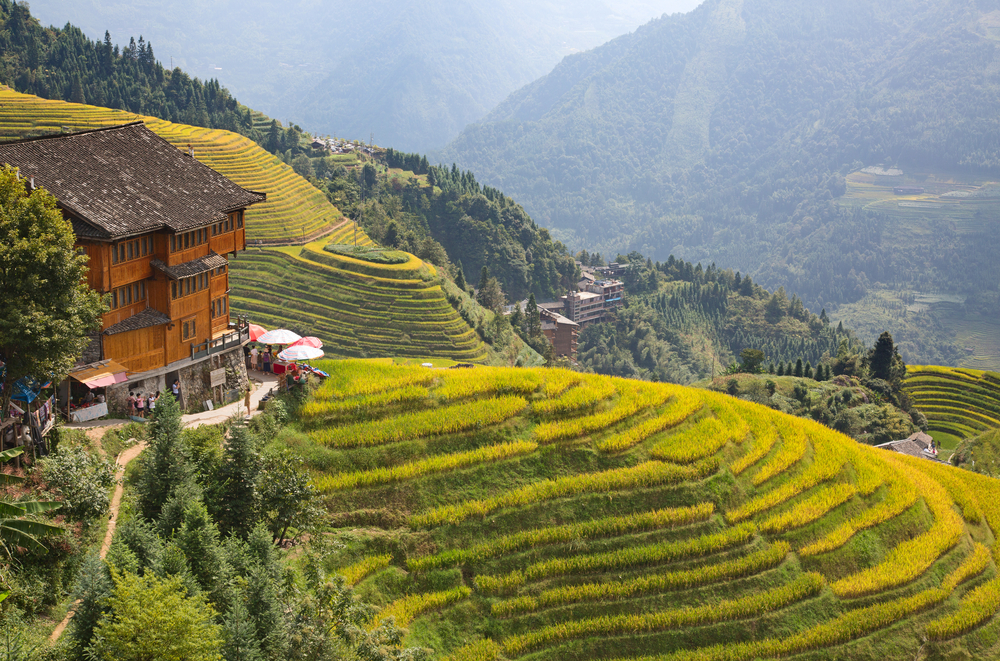 Les superbes rizières en terrasse de Longsheng superbes rizieres en terrasse de longsheng chuanxi chine 4 superbes-rizieres-en-terrasse-de-longsheng-chuanxi-chine-4