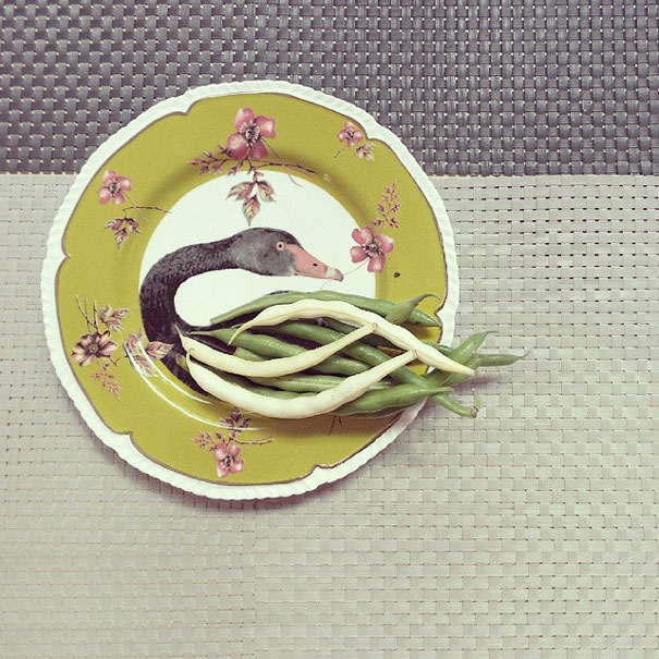 Les compositions d'objets du quotidien de Dudi Ben Simon Dudi Ben Simon composition avec des objets du quotidien 1 Dudi-Ben-Simon-composition-avec-des-objets-du-quotidien-1