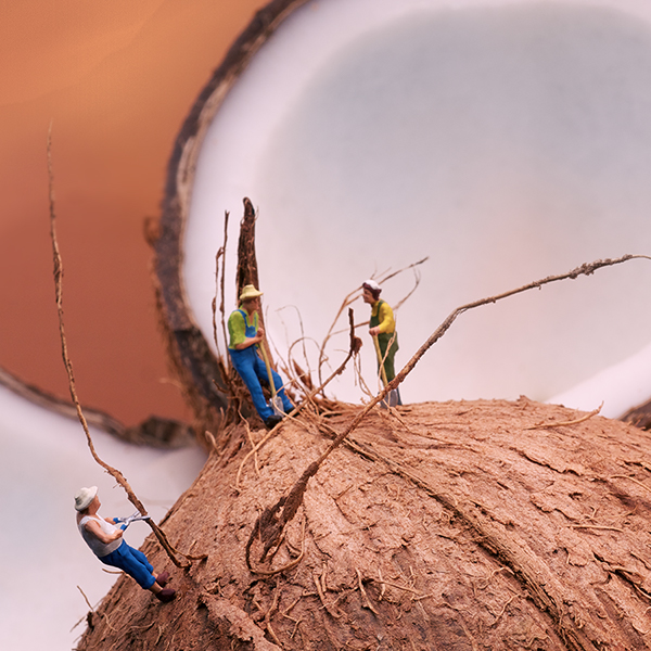 Minimize – Food par William Kass minimize food personnages miniatures par william kass 14 minimize-food-personnages-miniatures-par-william-kass-14