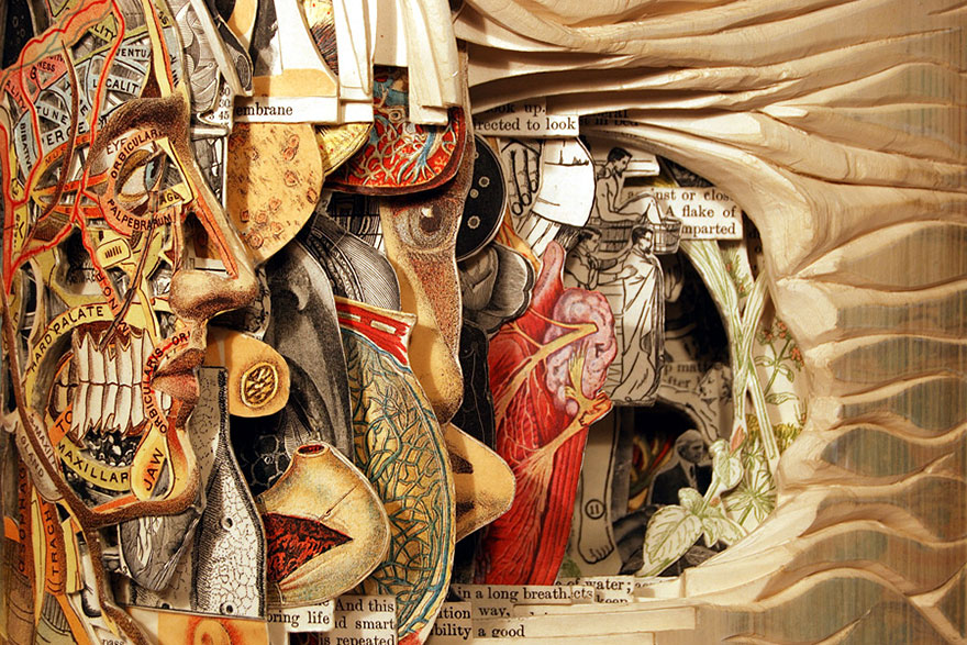 Brian Dettmer le chirurgien du livre book surgeon brian dettmer chirurgien du livre sculptures de livres 4 book-surgeon-brian-dettmer-chirurgien-du-livre-sculptures-de-livres-4