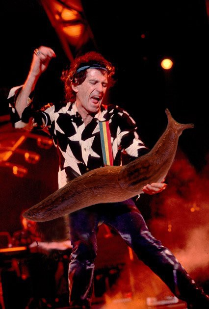 Des guitaristes avec des limaces géantes des guitaristes avec des limaces geantes a la place de la guitare 13 des-guitaristes-avec-des-limaces-geantes-a-la-place-de-la-guitare-13