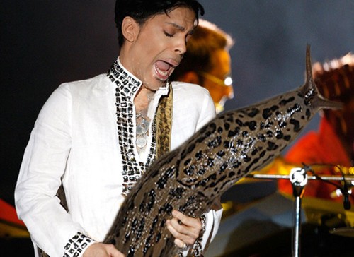 Des guitaristes avec des limaces géantes des guitaristes avec des limaces geantes a la place de la guitare 4 des-guitaristes-avec-des-limaces-geantes-a-la-place-de-la-guitare-4