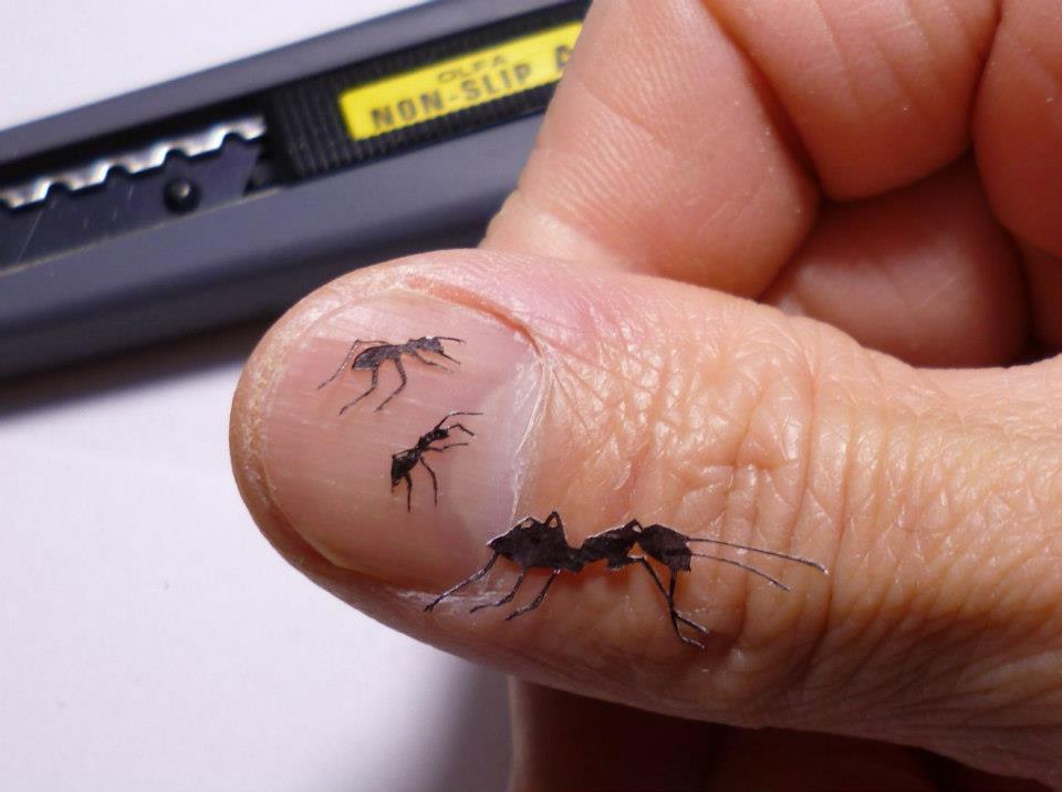 les papiers découpés de Akira Nagaya - Kirie creations en papier decoupe kirie akira nagaya 9 creations-en-papier-decoupe-kirie-akira-nagaya-9