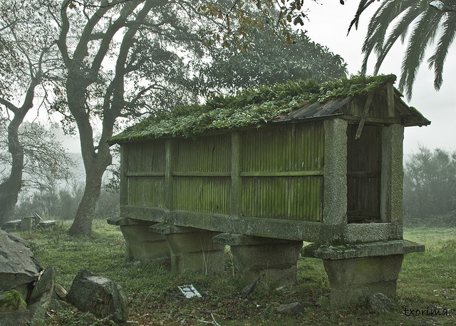 les hórreos - greniers espagnols horreos greniers espagnols sur pilotis 5 horreos-greniers-espagnols-sur-pilotis-5