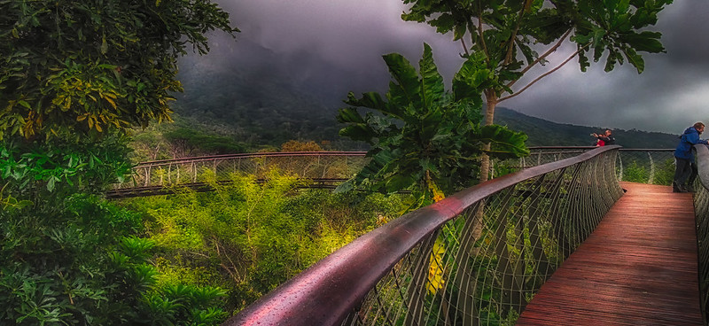 18 des plus beaux jardins du monde 18 des plus beaux jardins du monde kirstenbosch 18-des-plus-beaux-jardins-du-monde-kirstenbosch