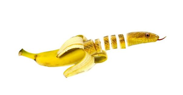 Animal Food: des hybrides animaux végétaux animal food hybrides animaux vegetaux mash up bananake serpent banane animal-food-hybrides-animaux-vegetaux-mash-up-bananake-serpent-banane
