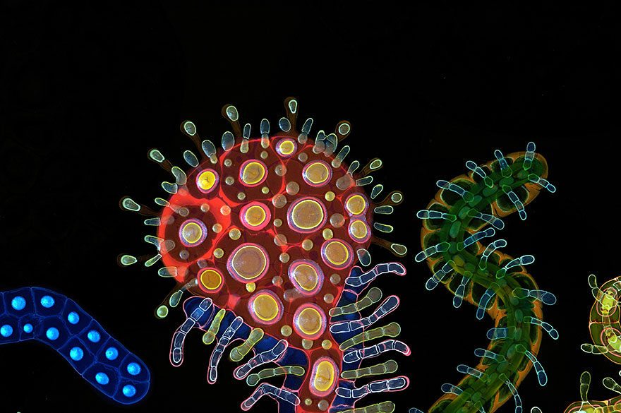 Les créations psychédéliques en peinture et résine de Bruce Riley art psychedelique en peinture et resine par bruce riley 12 art-psychedelique-en-peinture-et-resine-par-bruce-riley-12