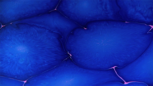 Les créations psychédéliques en peinture et résine de Bruce Riley art psychedelique en peinture et resine par bruce riley 4 art-psychedelique-en-peinture-et-resine-par-bruce-riley-4