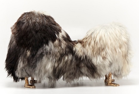 Les meubles en fourrure des frères Haas meubles en fourrure des freres hass hairy belafonte meubles-en-fourrure-des-freres-hass-hairy-belafonte