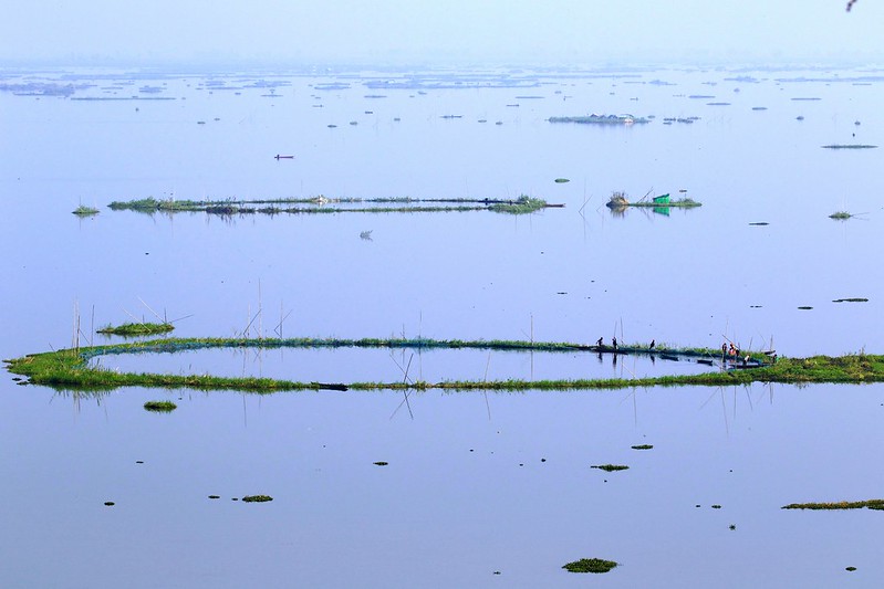 Les phumdis du lac Loktak phumdis du lac loktat inde 2 phumdis-du-lac-loktat-inde-2